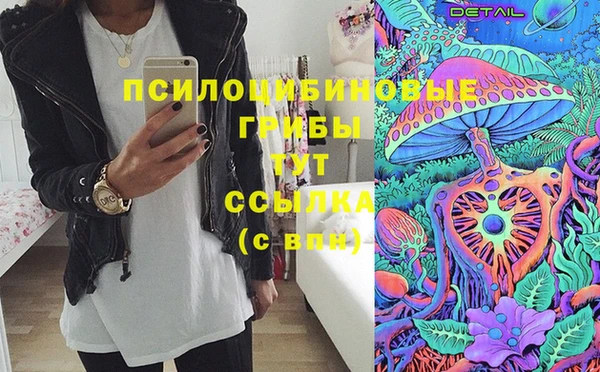 СК Балахна