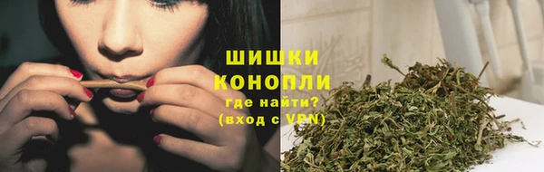 прущие крисы Белокуриха