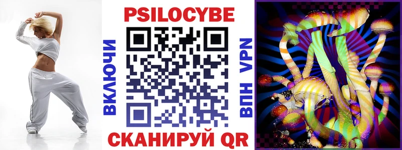 Галлюциногенные грибы Psilocybe  Данков 